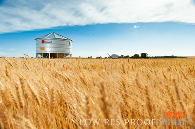 November 2009 / 20091123_SHERWELL_0186