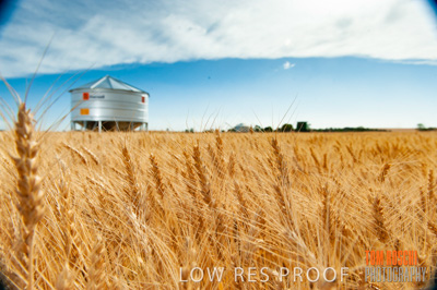 November 2009 / 20091123_SHERWELL_0188