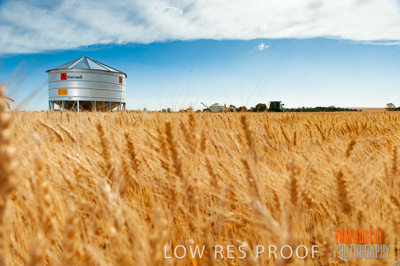 November 2009 / 20091123_SHERWELL_0189