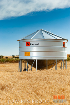 November 2009 / 20091123_SHERWELL_0190