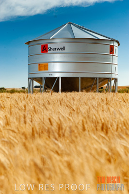 November 2009 / 20091123_SHERWELL_0191