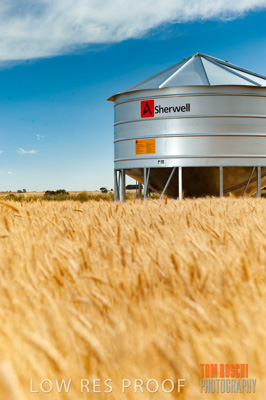 November 2009 / 20091123_SHERWELL_0192