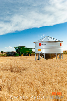 November 2009 / 20091123_SHERWELL_0195