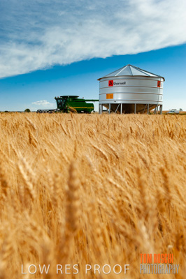 November 2009 / 20091123_SHERWELL_0196