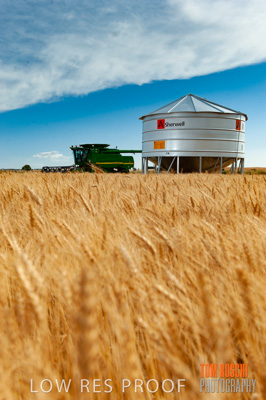 November 2009 / 20091123_SHERWELL_0198