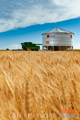 November 2009 / 20091123_SHERWELL_0199