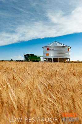 November 2009 / 20091123_SHERWELL_0201