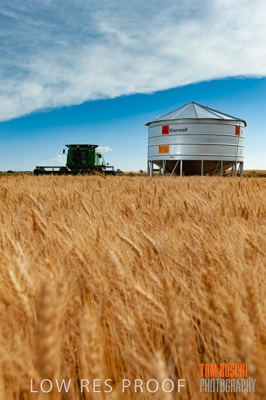 November 2009 / 20091123_SHERWELL_0211