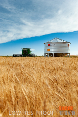 November 2009 / 20091123_SHERWELL_0215