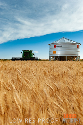 November 2009 / 20091123_SHERWELL_0218