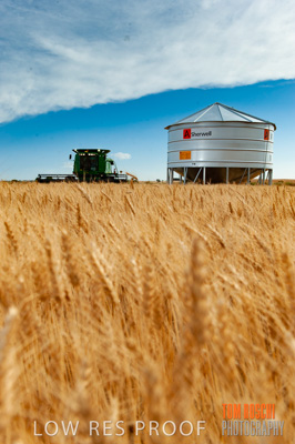 November 2009 / 20091123_SHERWELL_0221