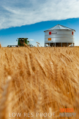 November 2009 / 20091123_SHERWELL_0224