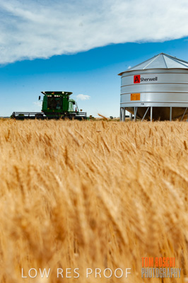 November 2009 / 20091123_SHERWELL_0226