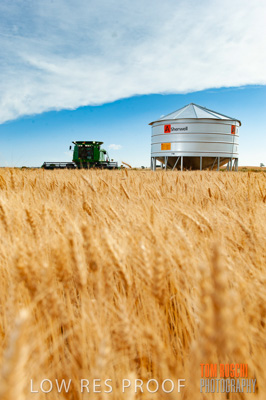 November 2009 / 20091123_SHERWELL_0230