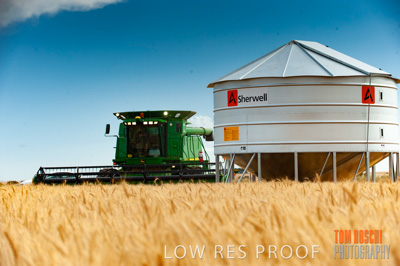 November 2009 / 20091123_SHERWELL_0236