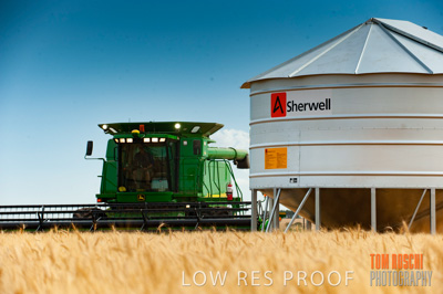 November 2009 / 20091123_SHERWELL_0238