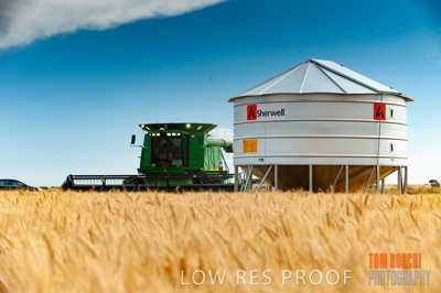 November 2009 / 20091123_SHERWELL_0240