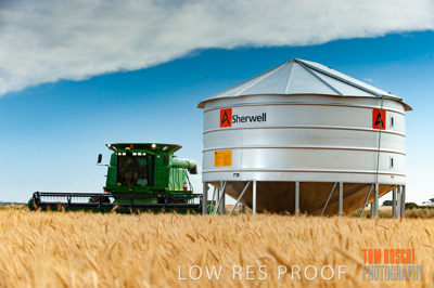 November 2009 / 20091123_SHERWELL_0243