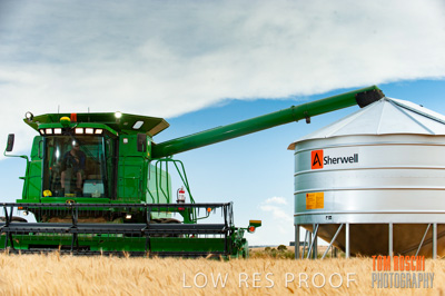 November 2009 / 20091123_SHERWELL_0249