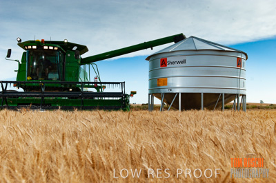 November 2009 / 20091123_SHERWELL_0252