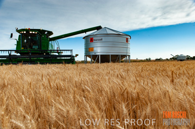 November 2009 / 20091123_SHERWELL_0256