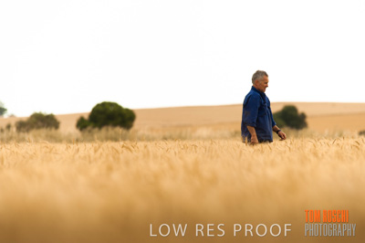 November 2009 / 20091123_SHERWELL_0329