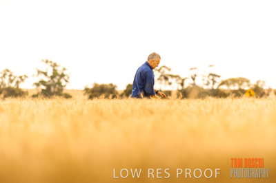 November 2009 / 20091123_SHERWELL_0342