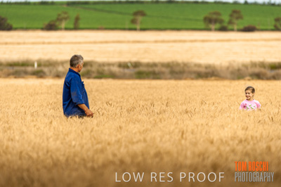 November 2009 / 20091123_SHERWELL_0414