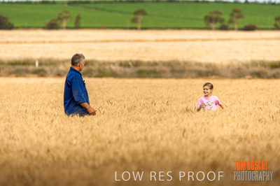 November 2009 / 20091123_SHERWELL_0416