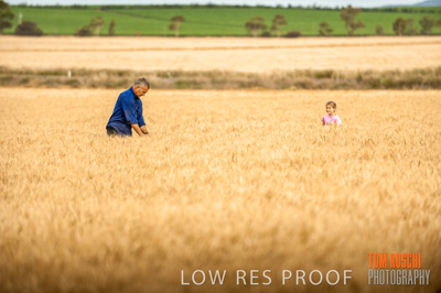 November 2009 / 20091123_SHERWELL_0423