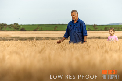 November 2009 / 20091123_SHERWELL_0477