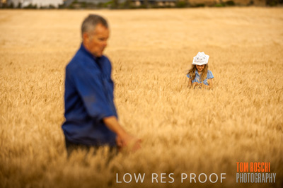 November 2009 / 20091123_SHERWELL_0556