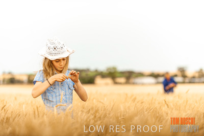 November 2009 / 20091123_SHERWELL_0680