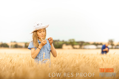 November 2009 / 20091123_SHERWELL_0683