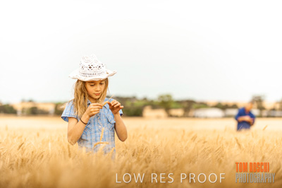 November 2009 / 20091123_SHERWELL_0687