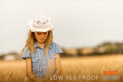 November 2009 / 20091123_SHERWELL_0734