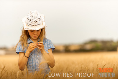 November 2009 / 20091123_SHERWELL_0736