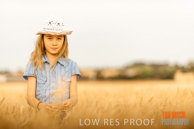 November 2009 / 20091123_SHERWELL_0739