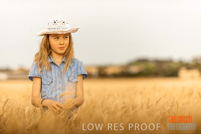 November 2009 / 20091123_SHERWELL_0741