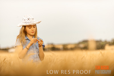 November 2009 / 20091123_SHERWELL_0746