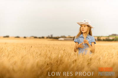 November 2009 / 20091123_SHERWELL_0789