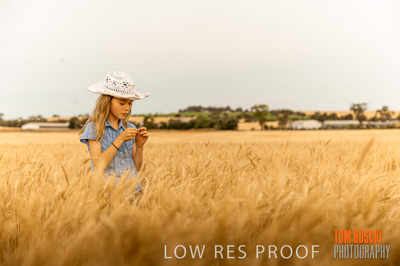 November 2009 / 20091123_SHERWELL_0793