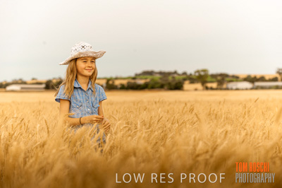 November 2009 / 20091123_SHERWELL_0797