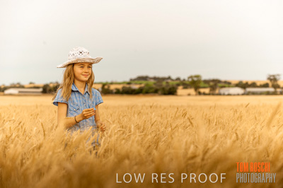 November 2009 / 20091123_SHERWELL_0798