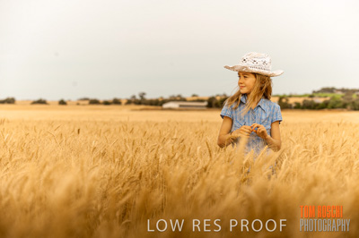 November 2009 / 20091123_SHERWELL_0803