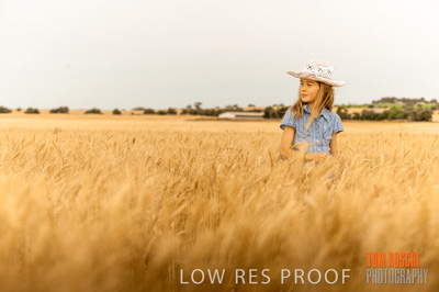 November 2009 / 20091123_SHERWELL_0806