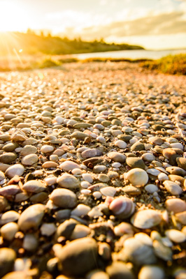 January 2016 / DSC_4214