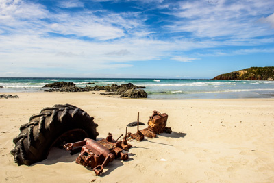 November 2016 / DSC_4866