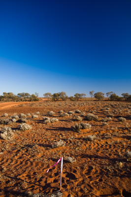 August 2007 / ETSA-OXIANA_306_070830