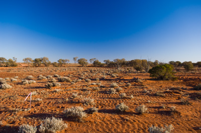 August 2007 / ETSA-OXIANA_307_070830